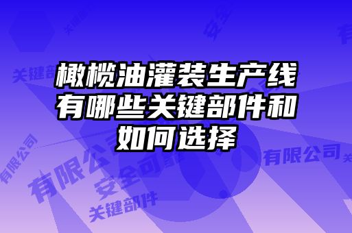 橄欖油灌裝生產(chǎn)線有哪些關鍵部件和如何選擇