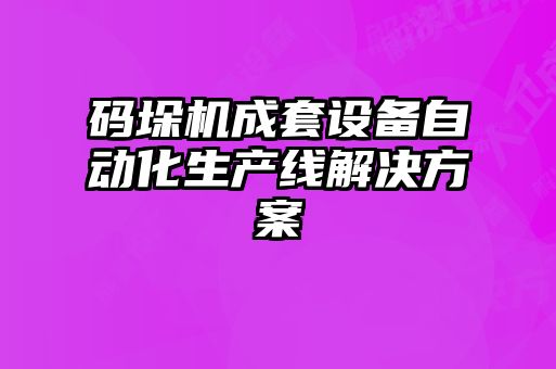 碼垛機成套設備自動化生產線解決方案