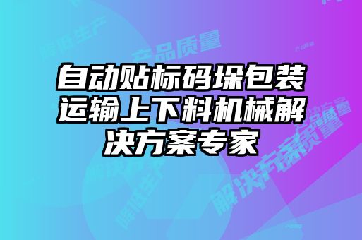 自動貼標(biāo)碼垛包裝運(yùn)輸上下料機(jī)械解決方案專家