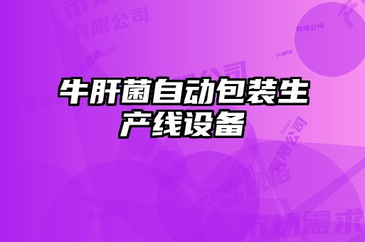 牛肝菌自動(dòng)包裝生產(chǎn)線(xiàn)設(shè)備