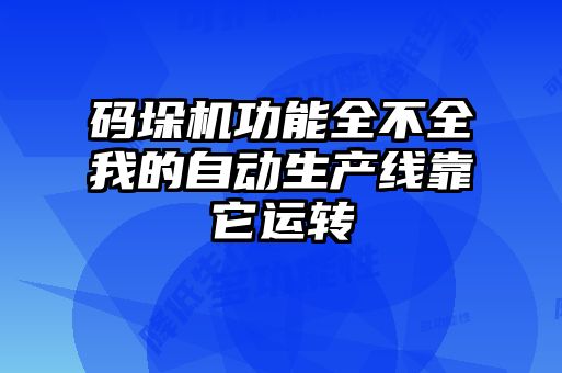 碼垛機功能全不全我的自動生產(chǎn)線靠它運轉(zhuǎn)