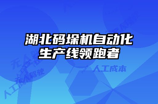 湖北碼垛機自動化生產(chǎn)線領(lǐng)跑者