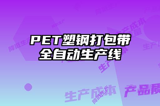 PET塑鋼打包帶全自動(dòng)生產(chǎn)線