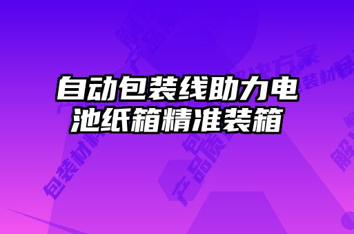 自動(dòng)包裝線助力電池紙箱精準(zhǔn)裝箱